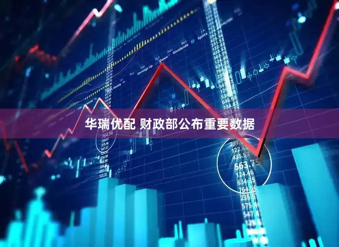 华瑞优配 财政部公布重要数据