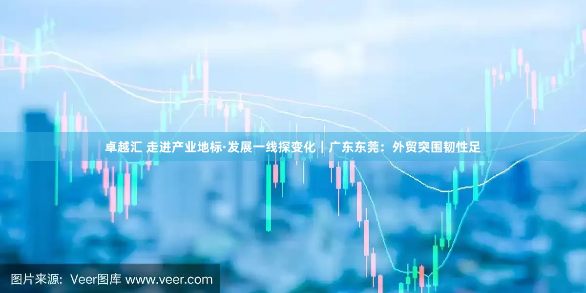 卓越汇 走进产业地标·发展一线探变化｜广东东莞：外贸突围韧性足