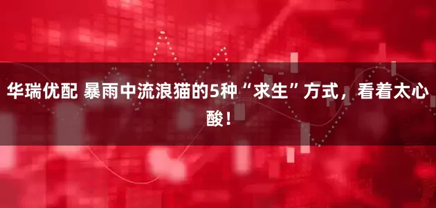 华瑞优配 暴雨中流浪猫的5种“求生”方式，看着太心酸！