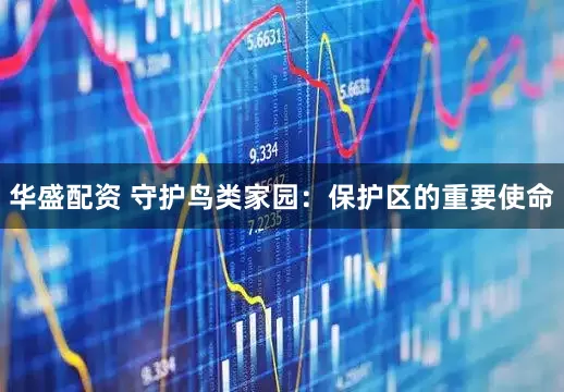 华盛配资 守护鸟类家园：保护区的重要使命