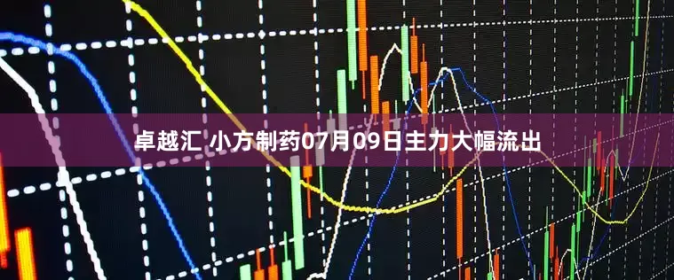 卓越汇 小方制药07月09日主力大幅流出