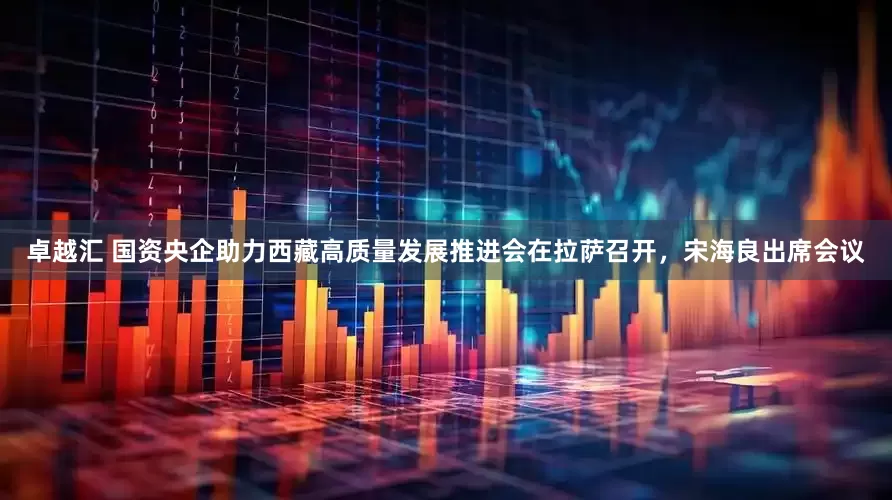 卓越汇 国资央企助力西藏高质量发展推进会在拉萨召开，宋海良出席会议