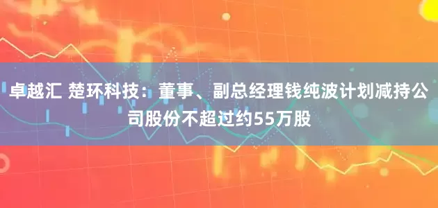 卓越汇 楚环科技：董事、副总经理钱纯波计划减持公司股份不超过约55万股